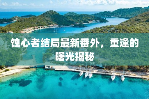 蚀心者结局最新番外，重逢的曙光揭秘