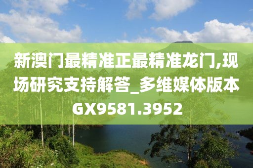 新澳门最精准正最精准龙门,现场研究支持解答_多维媒体版本GX9581.3952