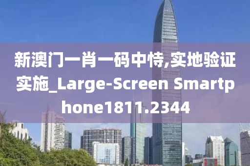 新澳门一肖一码中恃,实地验证实施_Large-Screen Smartphone1811.2344