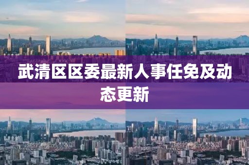 武清区区委最新人事任免及动态更新