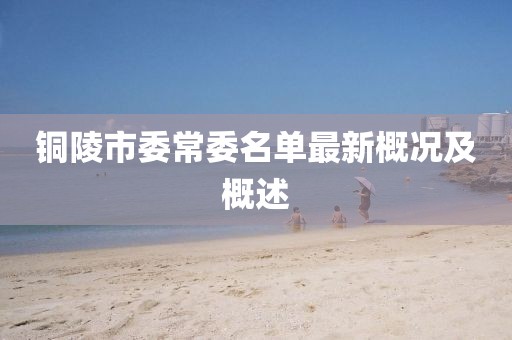 铜陵市委常委名单最新概况及概述