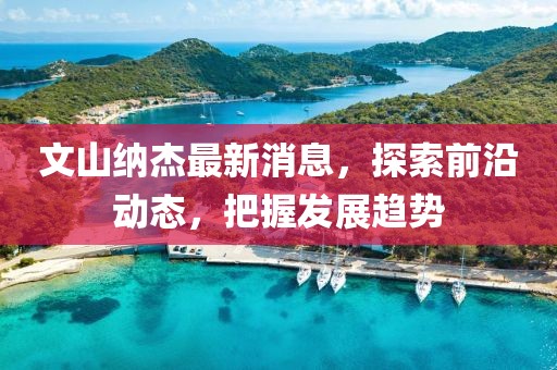 文山纳杰最新消息，探索前沿动态，把握发展趋势