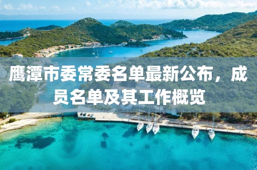 鹰潭市委常委名单最新公布，成员名单及其工作概览