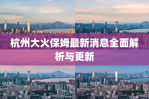 杭州大火保姆最新消息全面解析与更新