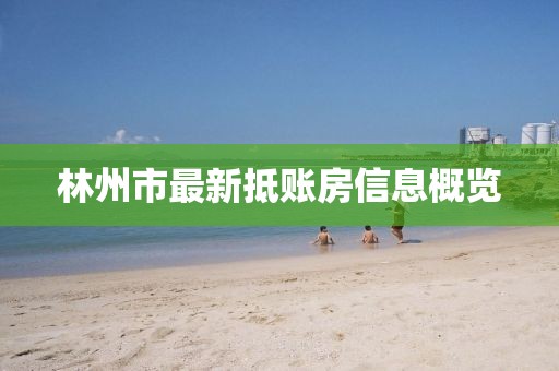 林州市最新抵账房信息概览