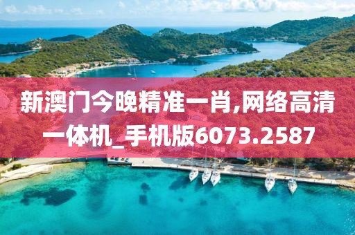 新澳门今晚精准一肖,网络高清一体机_手机版6073.2587