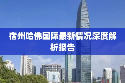宿州哈佛国际最新情况深度解析报告