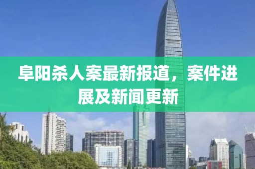 阜阳杀人案最新报道，案件进展及新闻更新