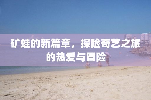 矿蛙的新篇章，探险奇艺之旅的热爱与冒险