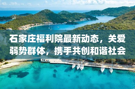 石家庄福利院最新动态，关爱弱势群体，携手共创和谐社会