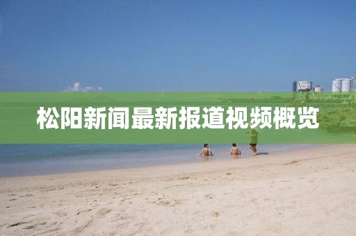 松阳新闻最新报道视频概览