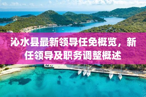沁水县最新领导任免概览，新任领导及职务调整概述