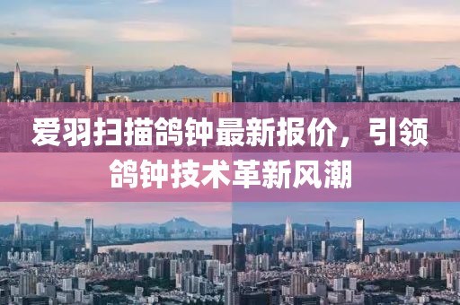 琼琚 第18页