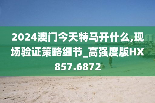 2024澳门今天特马开什么,现场验证策略细节_高强度版HX857.6872