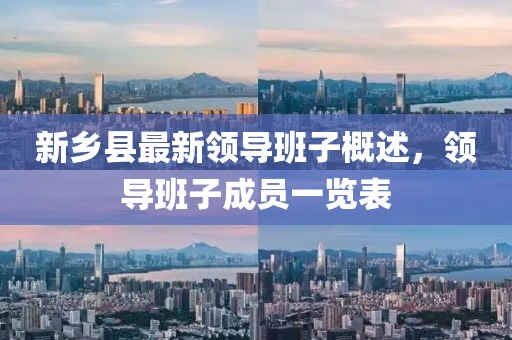 新乡县最新领导班子概述，领导班子成员一览表