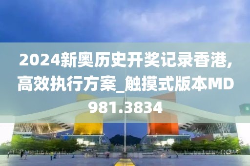 2024新奥历史开奖记录香港,高效执行方案_触摸式版本MD981.3834