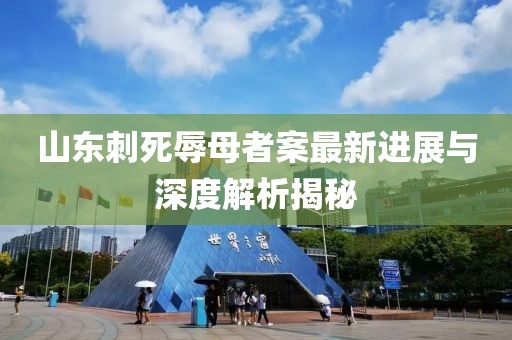 山东刺死辱母者案最新进展与深度解析揭秘