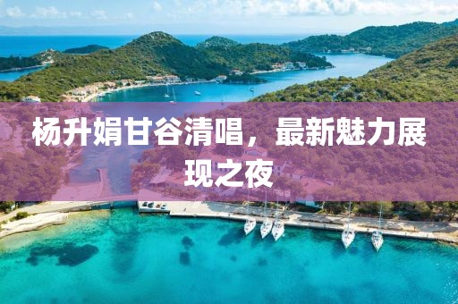 杨升娟甘谷清唱，最新魅力展现之夜