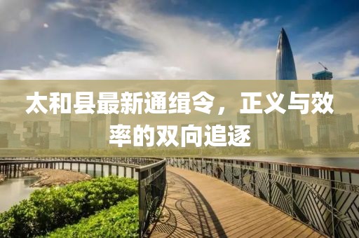 太和县最新通缉令，正义与效率的双向追逐