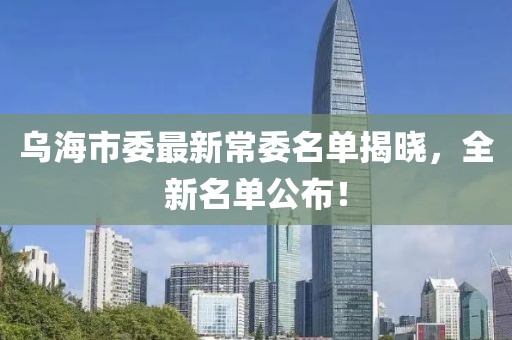 乌海市委最新常委名单揭晓，全新名单公布！