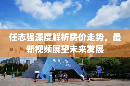 任志强深度解析房价走势，最新视频展望未来发展