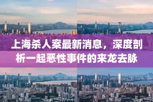 你还爱我 第17页