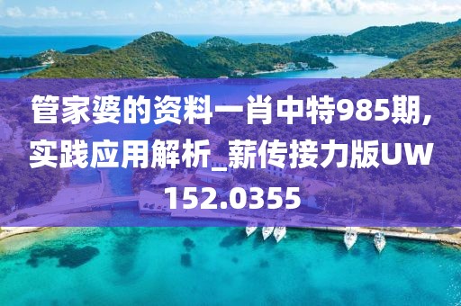 管家婆的资料一肖中特985期,实践应用解析_薪传接力版UW152.0355