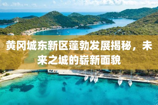黄冈城东新区蓬勃发展揭秘，未来之城的崭新面貌