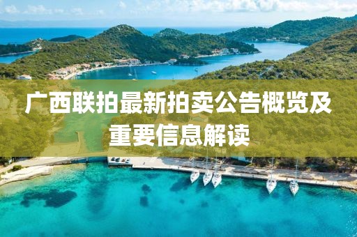 广西联拍最新拍卖公告概览及重要信息解读