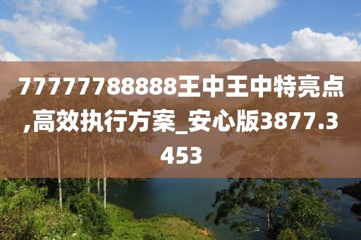 77777788888王中王中特亮点,高效执行方案_安心版3877.3453