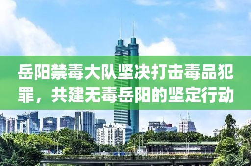 岳阳禁毒大队坚决打击毒品犯罪，共建无毒岳阳的坚定行动