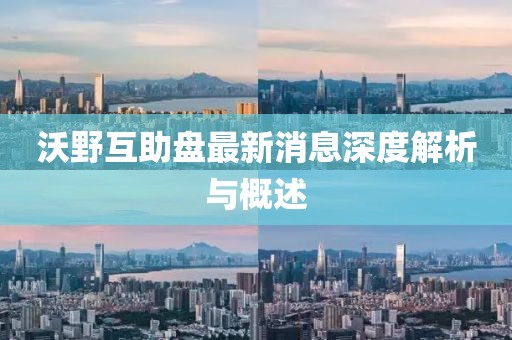 沃野互助盘最新消息深度解析与概述
