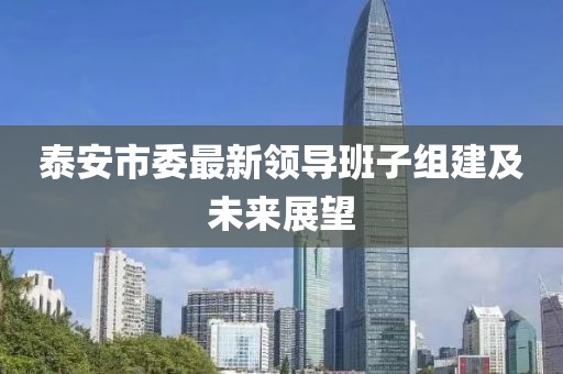 泰安市委最新领导班子组建及未来展望