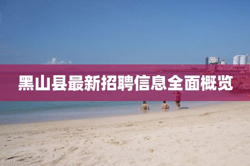 黑山县最新招聘信息全面概览