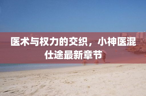 医术与权力的交织，小神医混仕途最新章节