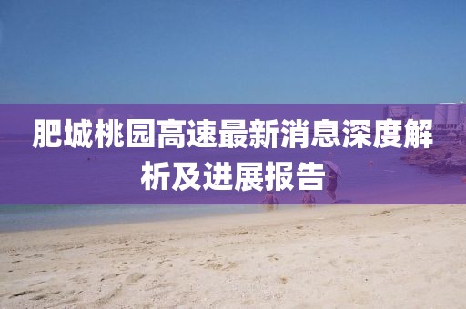 肥城桃园高速最新消息深度解析及进展报告