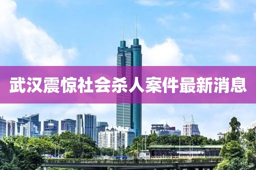 武汉震惊社会杀人案件最新消息