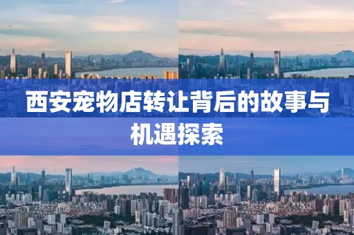 西安宠物店转让背后的故事与机遇探索