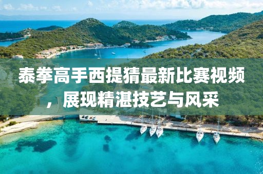 泰拳高手西提猜最新比赛视频，展现精湛技艺与风采