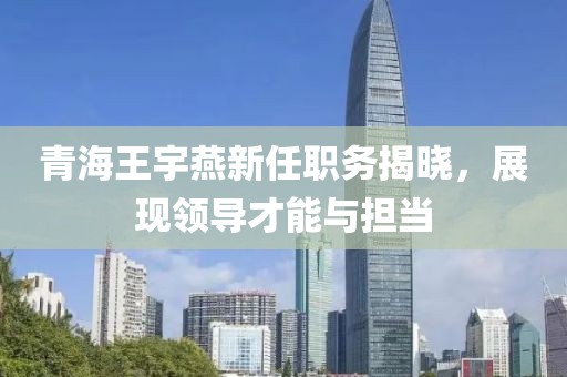 青海王宇燕新任职务揭晓，展现领导才能与担当