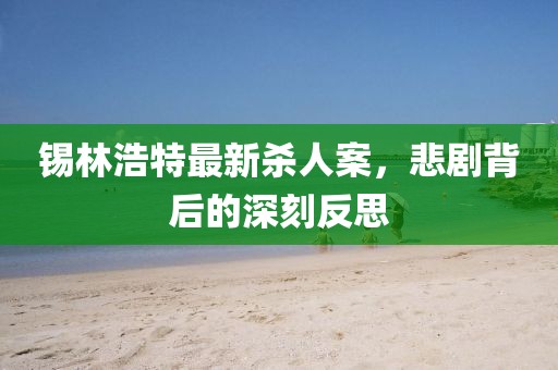 锡林浩特最新杀人案，悲剧背后的深刻反思