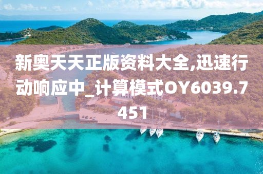 新奥天天正版资料大全,迅速行动响应中_计算模式OY6039.7451