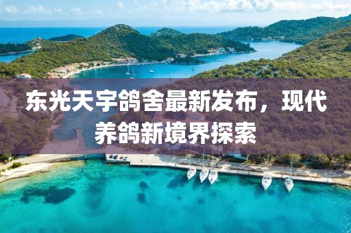 遇她 第20页