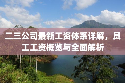 二三公司最新工资体系详解，员工工资概览与全面解析