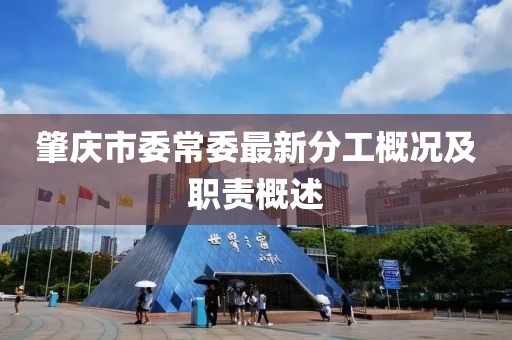 肇庆市委常委最新分工概况及职责概述