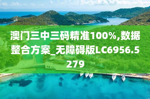 澳门三中三码精准100%,数据整合方案_无障碍版LC6956.5279