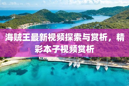 海贼王最新视频探索与赏析，精彩本子视频赏析