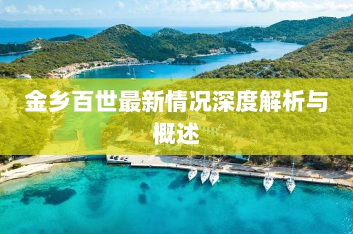 金乡百世最新情况深度解析与概述