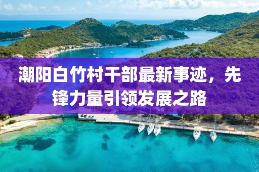 潮阳白竹村干部最新事迹，先锋力量引领发展之路