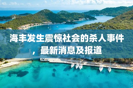 海丰发生震惊社会的杀人事件，最新消息及报道
